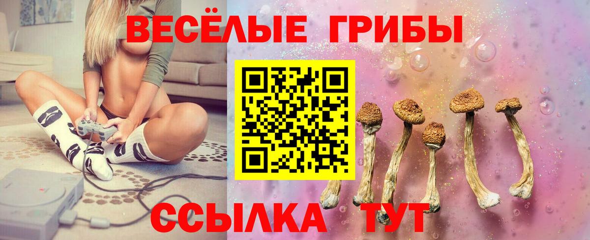 Псилоцибиновые грибы мицелий Новотроицк
