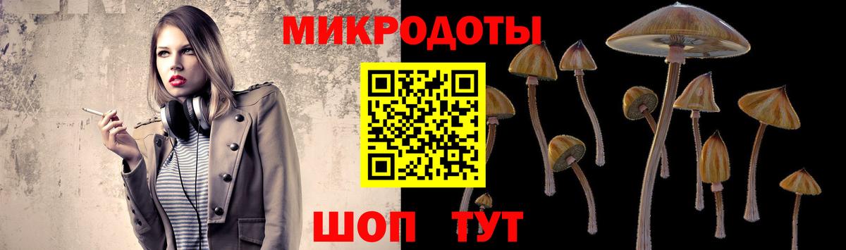 купить   Галлюциногенные грибы Magic Shrooms  Новотроицк  Вход с VPN  Галлюциногенные грибы Magic Shrooms 